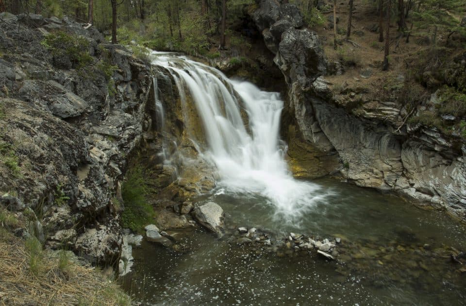 Cascade au milieu d'une forêt verdoyante